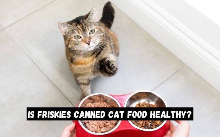 Is Friskies Canned Cat Food Healthy