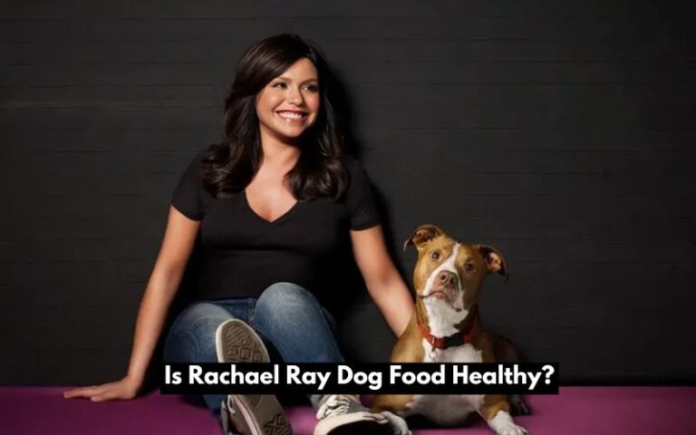 Is Rachael Ray Dog Food Healthy