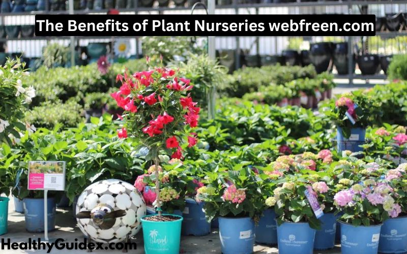 The Benefits of Plant Nurseries webfreen.com